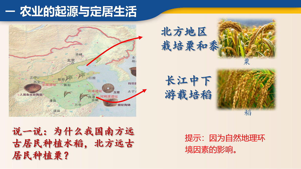 17281707第4页