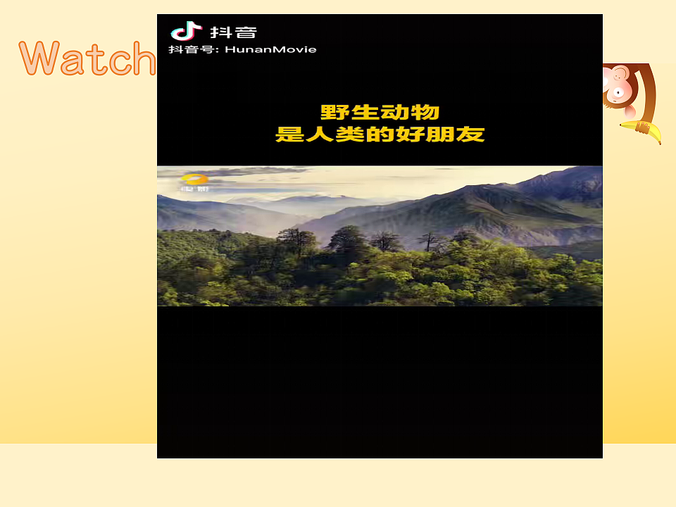 17281797第3页