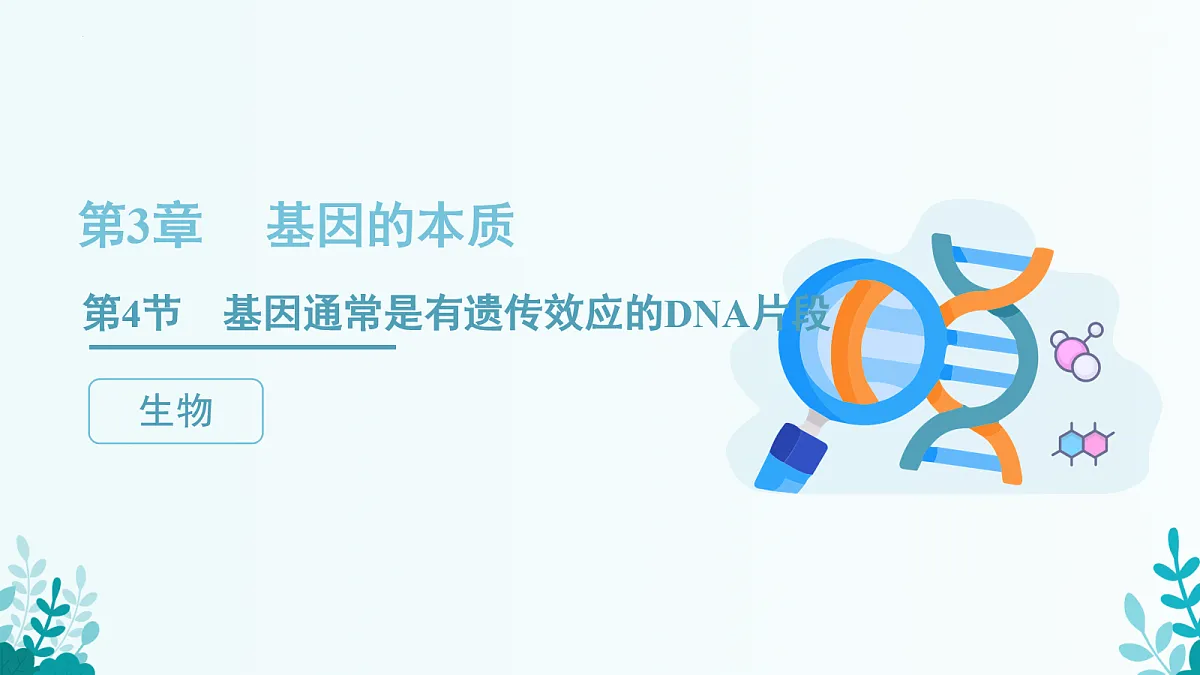 17282120第1页