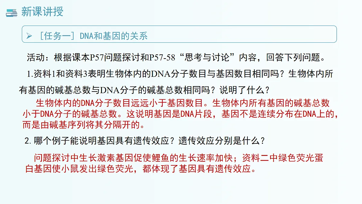 17282120第5页