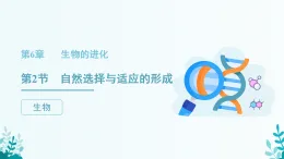 6.2自然選擇與適應(yīng)的形成+課件-2024-2025學年高一下學期生物人教版（2019）必修2