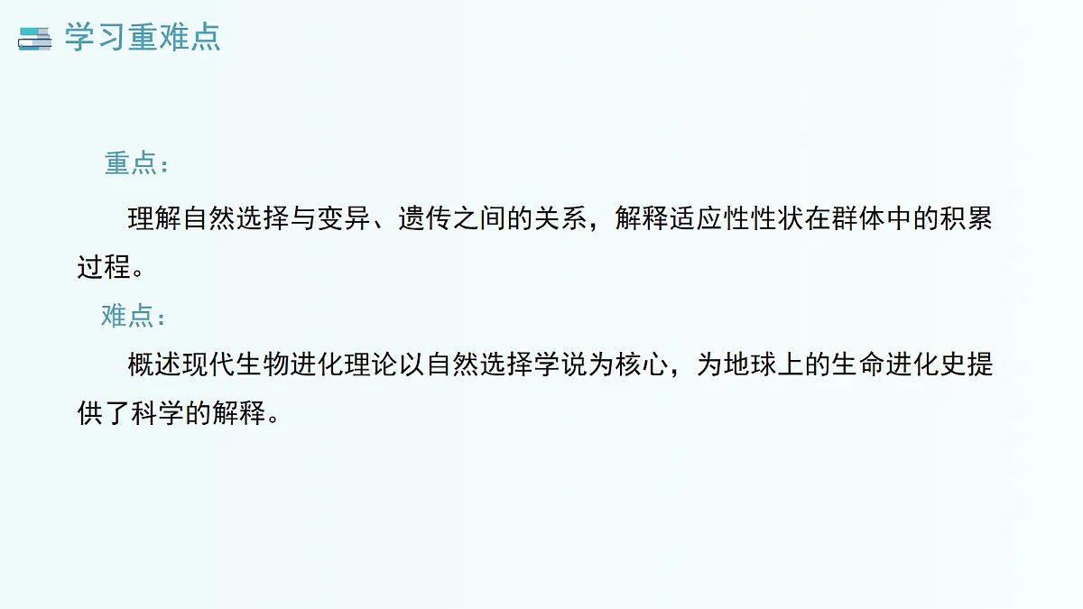 17282121第3页