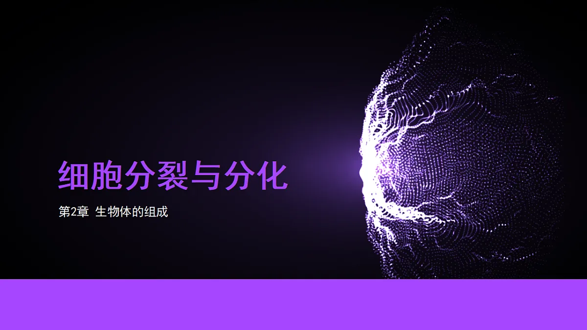 17282157第1页