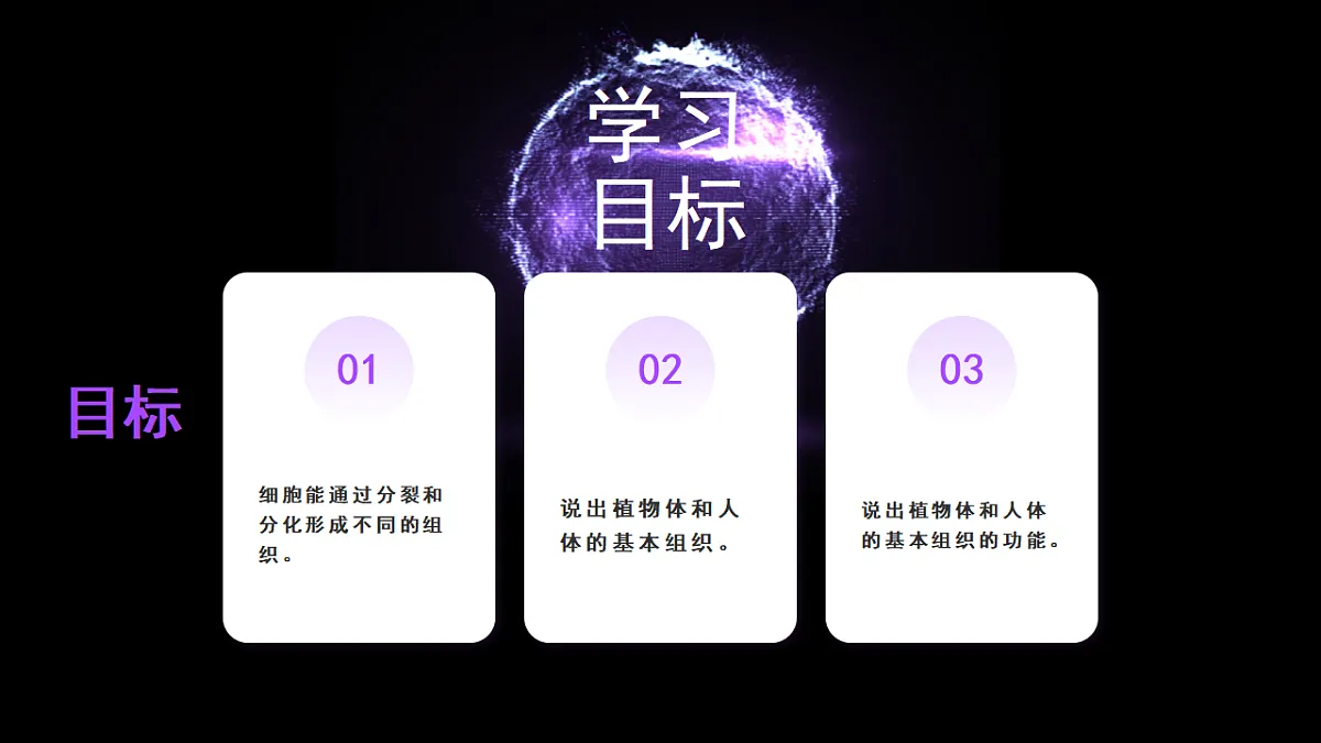 17282157第2页