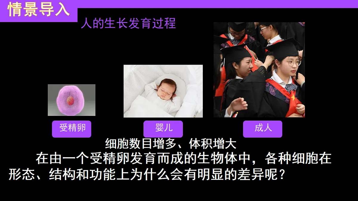 17282157第3页