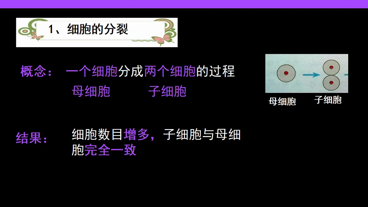 17282157第5页