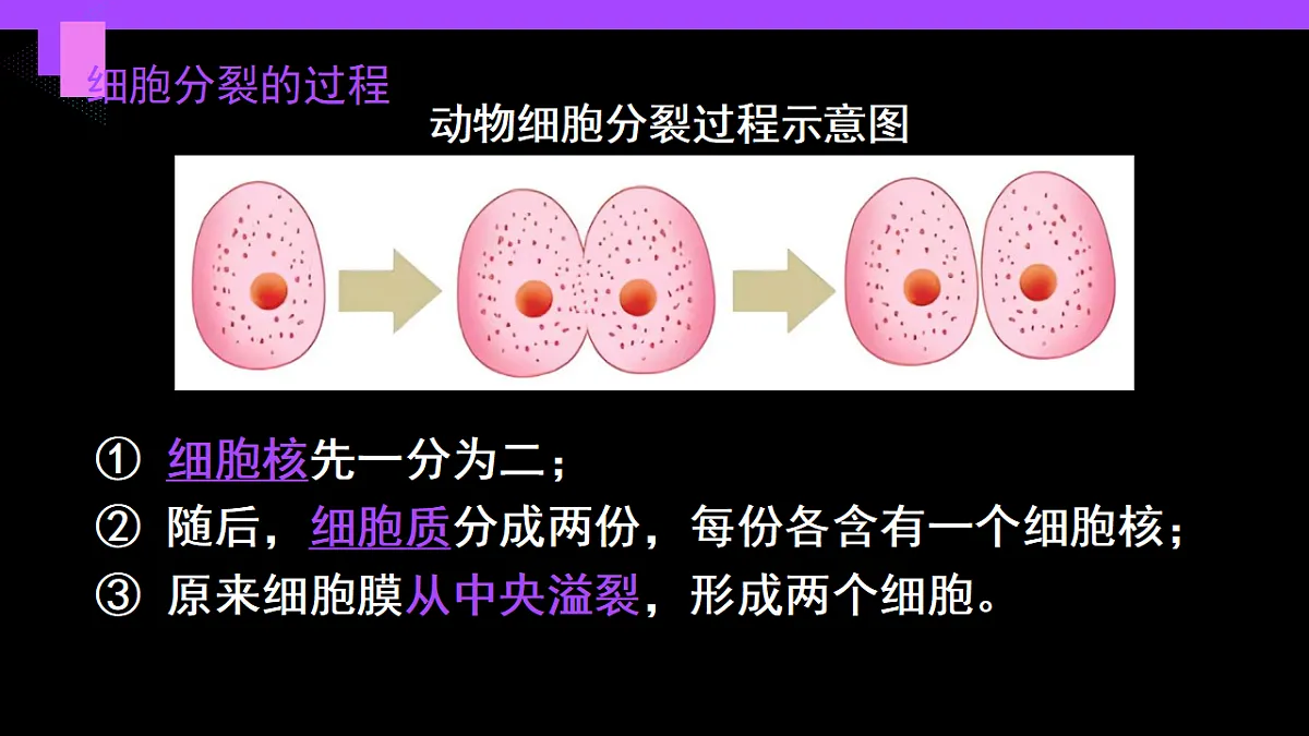 17282157第6页