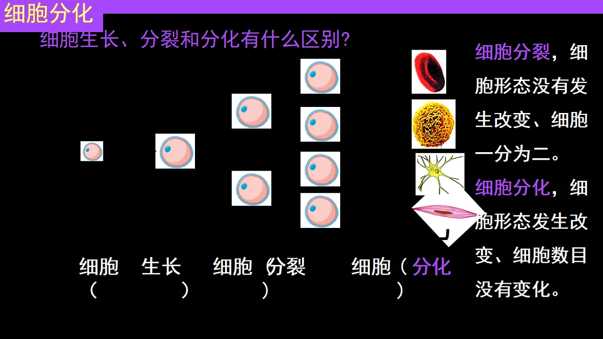17282157第7页