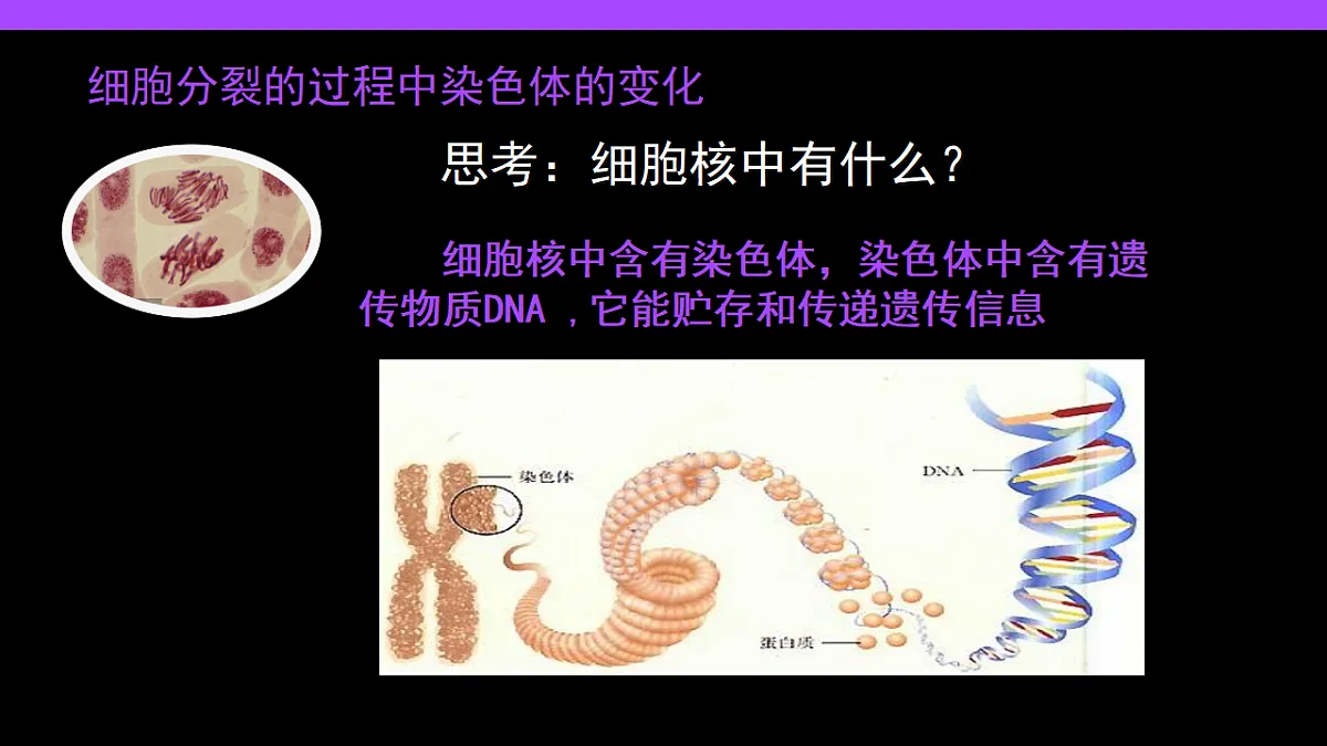17282157第8页
