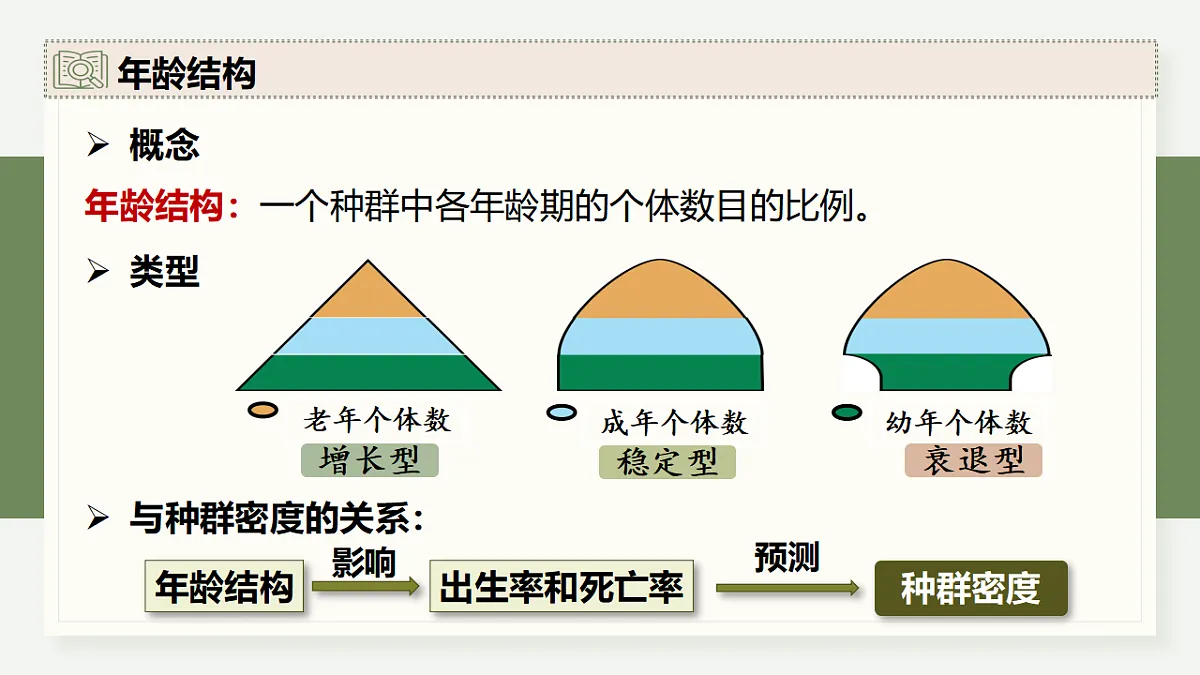 17282422第7页