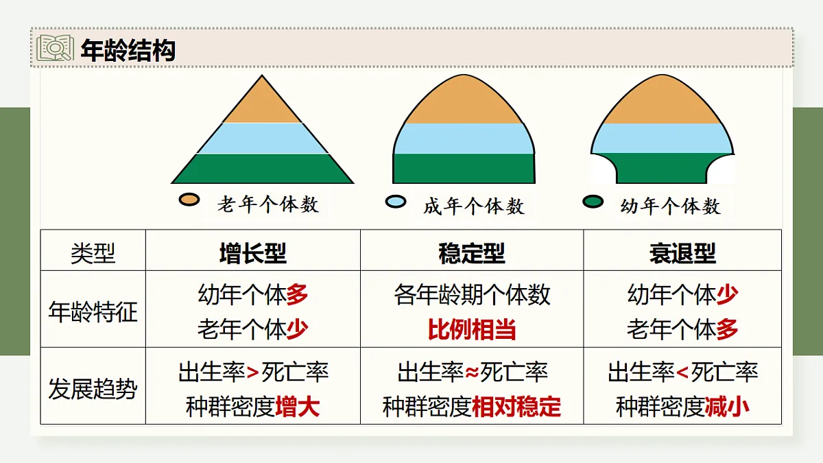 17282422第8页
