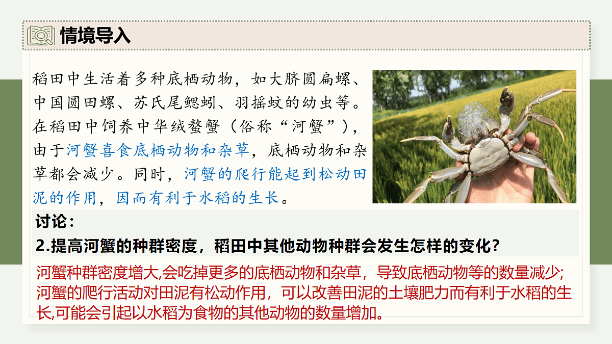 17282424第4页