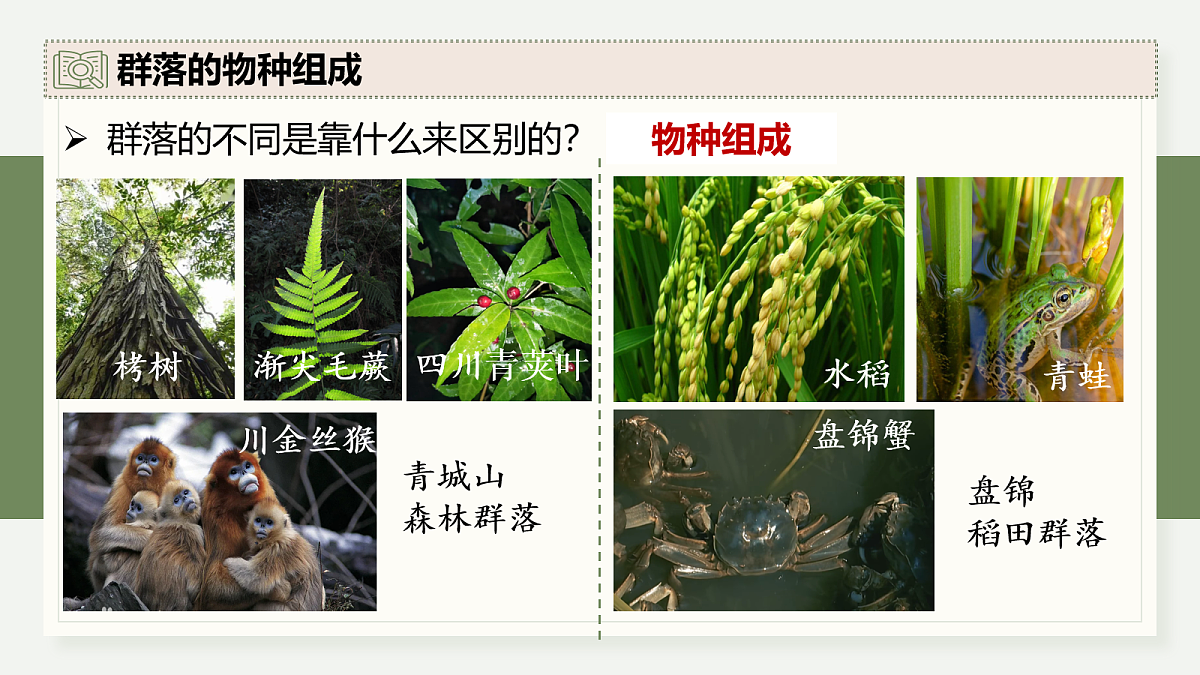 17282424第8页