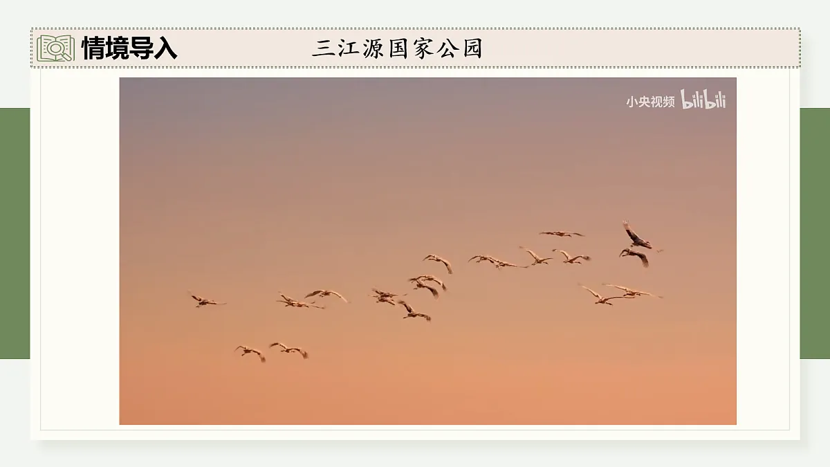 17282426第4页