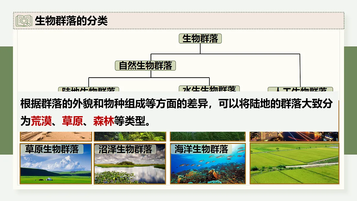 17282426第7页