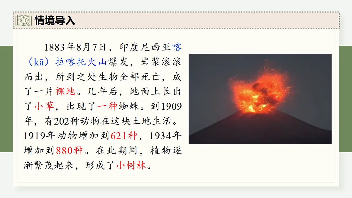 17282427第3页