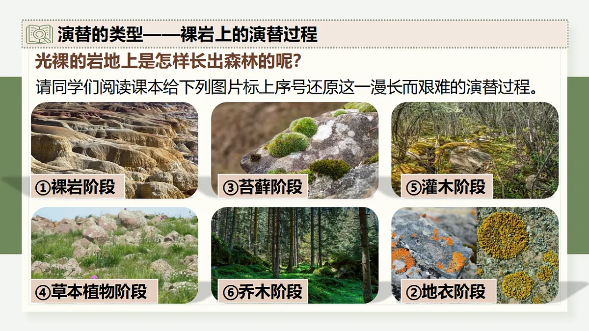 17282427第6页