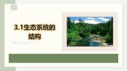 3.1生態(tài)系統(tǒng)的結(jié)構(gòu)（教學(xué)課件）——高中生物學(xué)人教版（2019）選擇性必修二