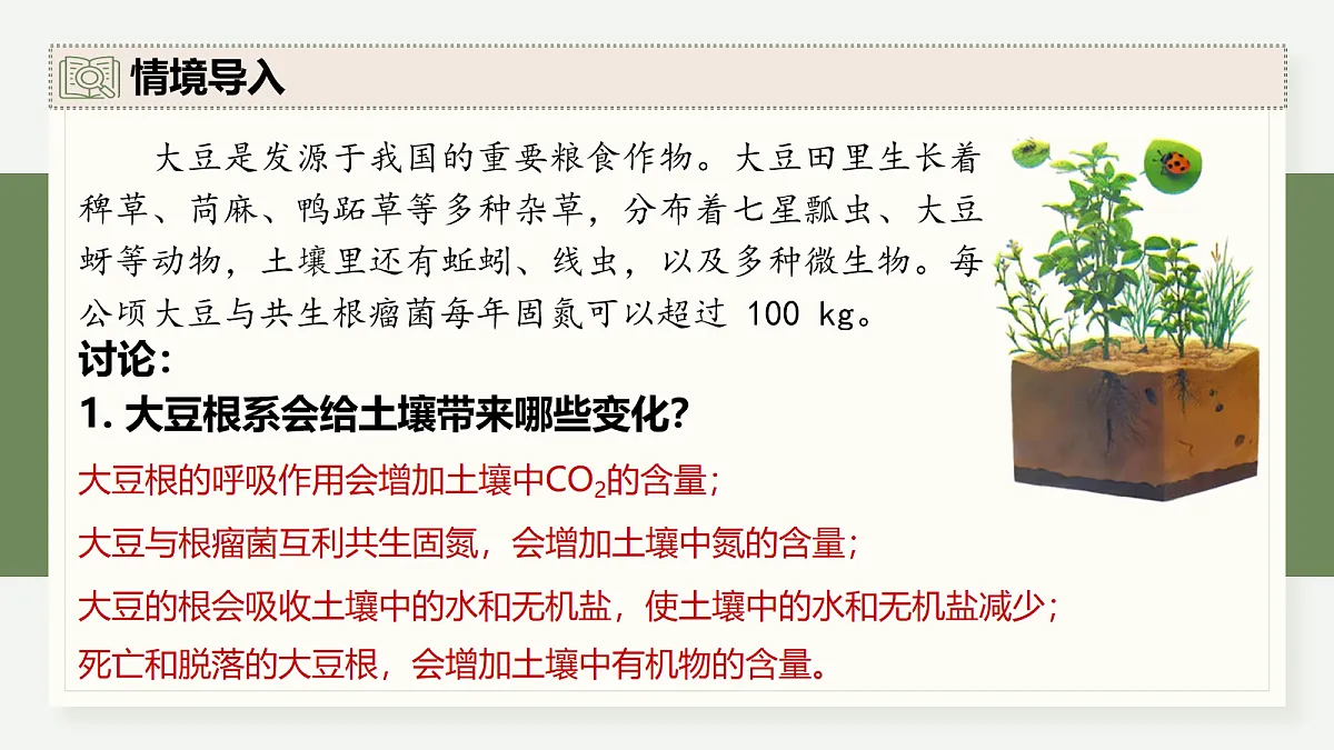 17282428第3页
