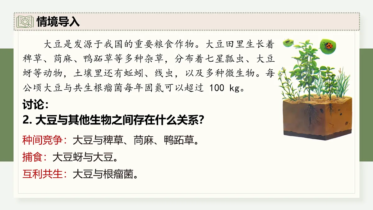 17282428第4页