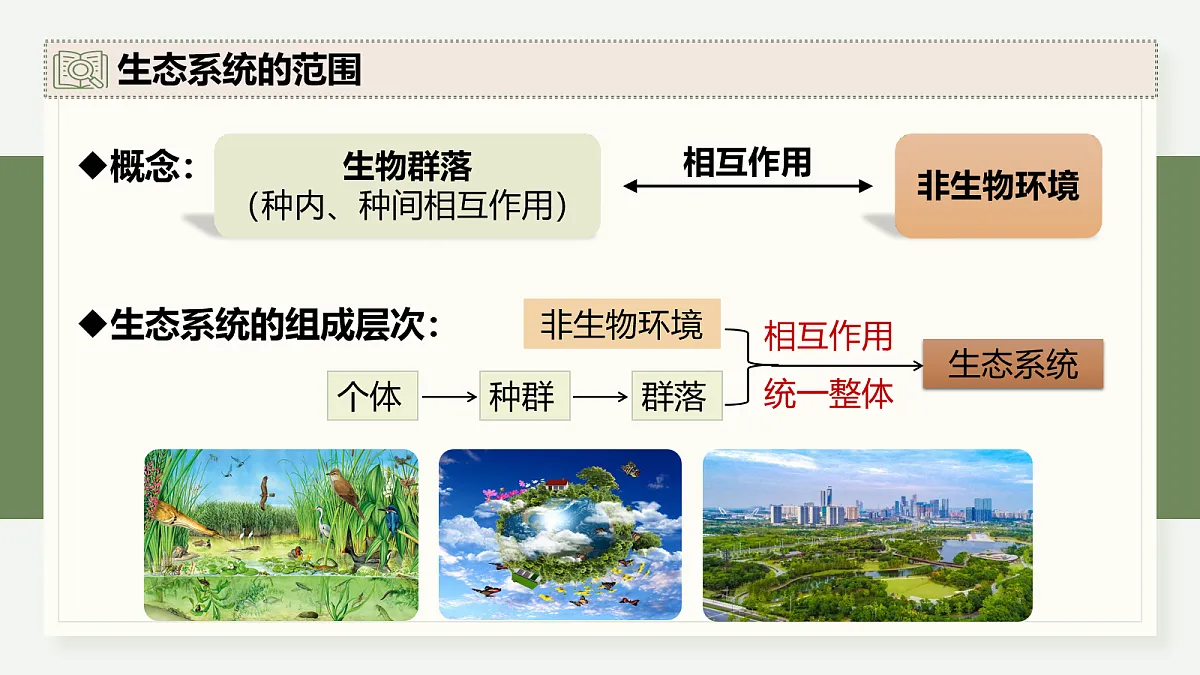 17282428第6页