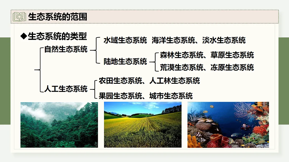 17282428第8页