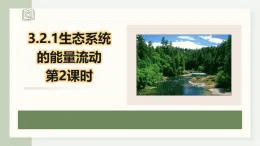 3.2.2生態(tài)系統(tǒng)的能量流動（教學(xué)課件）——高中生物學(xué)人教版（2019）選擇性必修二