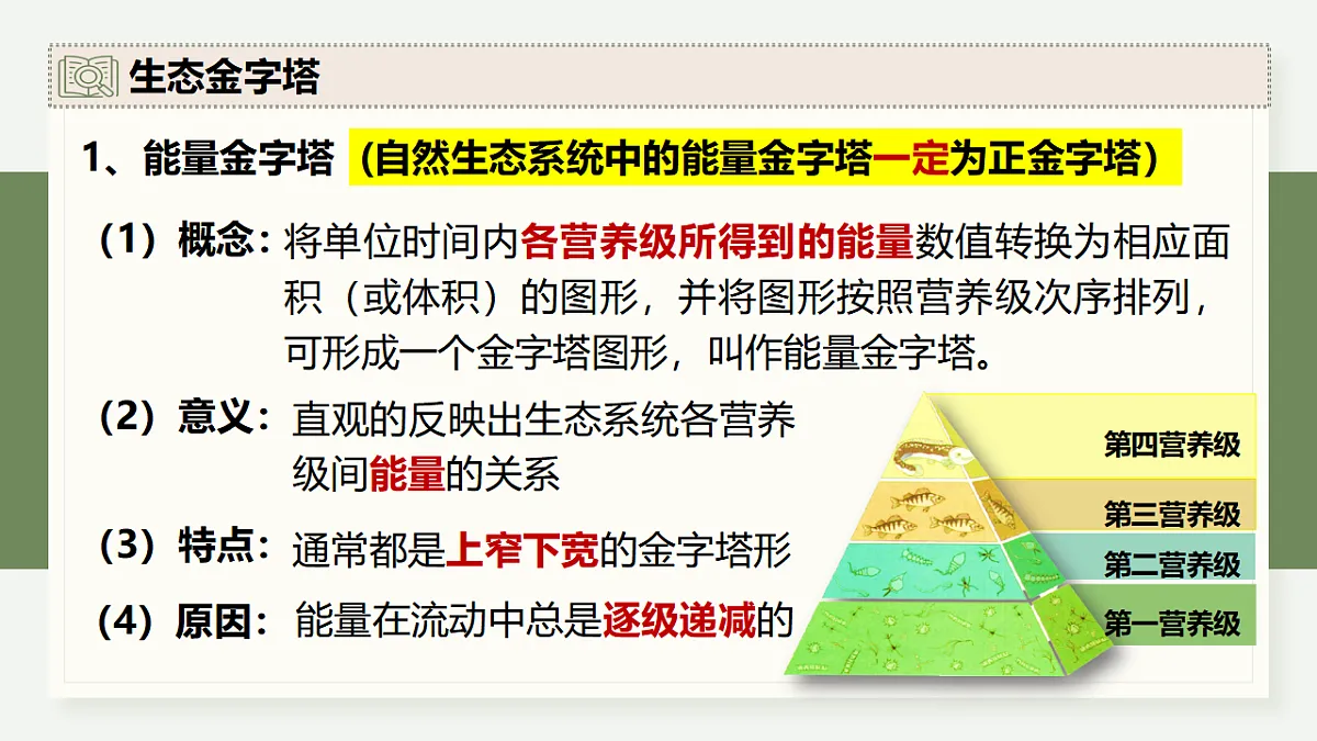 17282430第5页