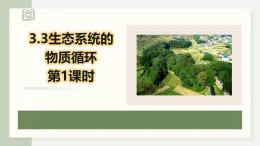3.3.1生態(tài)系統(tǒng)的物質(zhì)循環(huán)（教學(xué)課件）——高中生物學(xué)人教版（2019）選擇性必修二