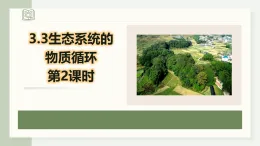 3.3.2生態(tài)系統(tǒng)的物質(zhì)循環(huán)（教學(xué)課件）——高中生物學(xué)人教版（2019）選擇性必修二