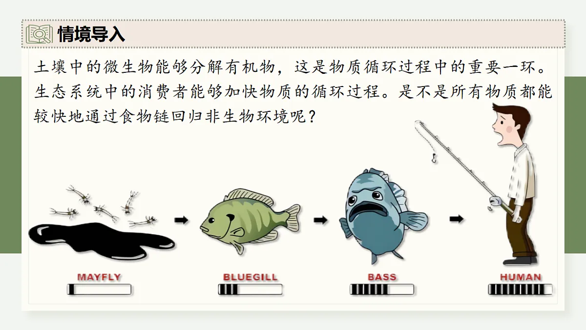 17282432第3页