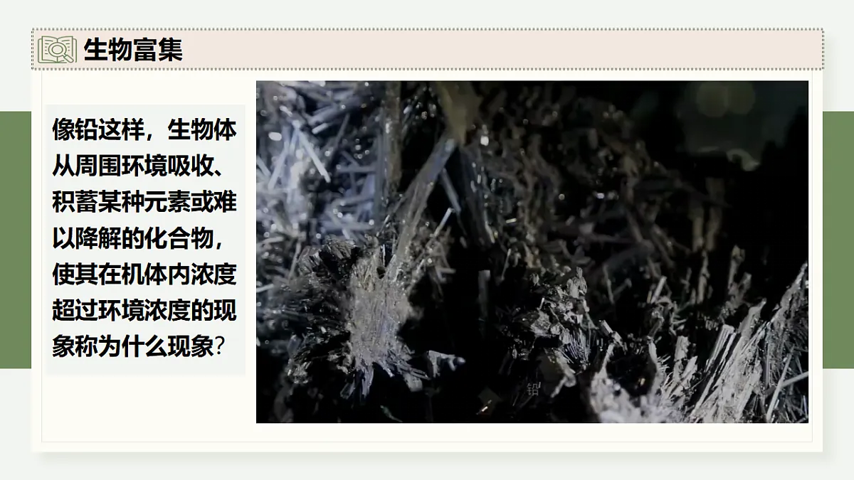 17282432第4页