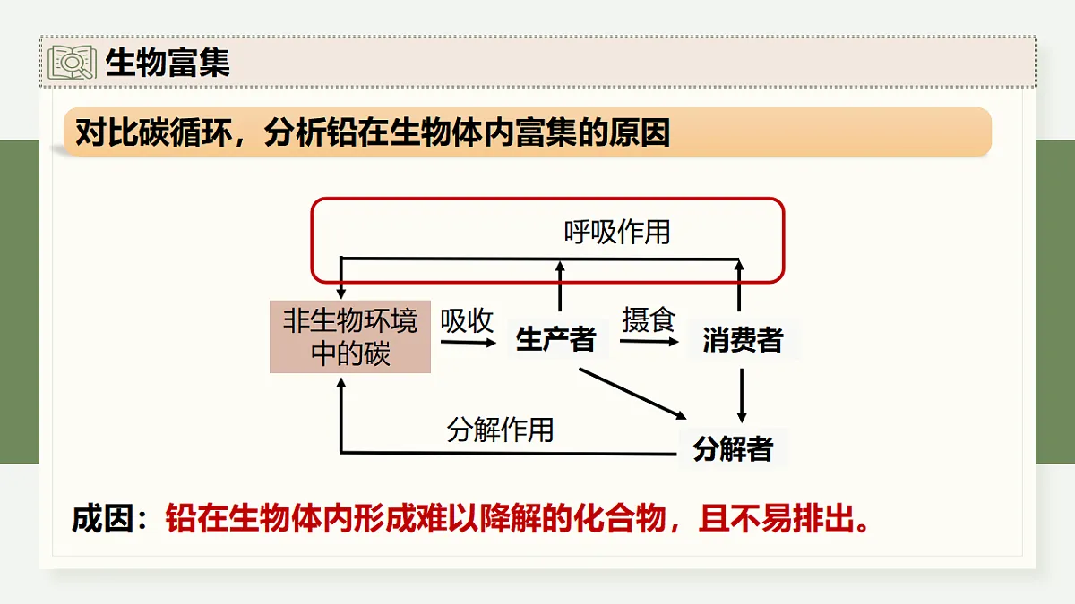 17282432第5页