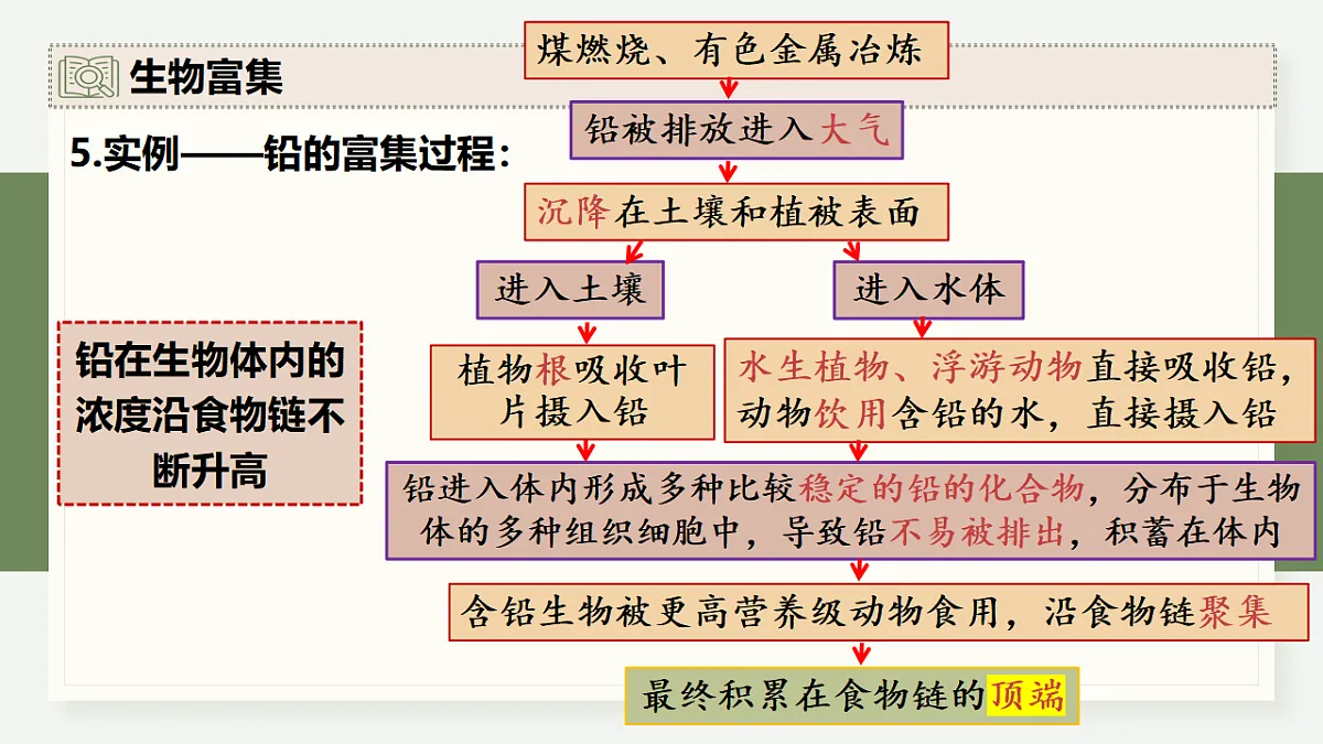 17282432第8页