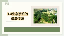 3.4生態(tài)系統(tǒng)的信息傳遞（教學(xué)課件）——高中生物學(xué)人教版（2019）選擇性必修二
