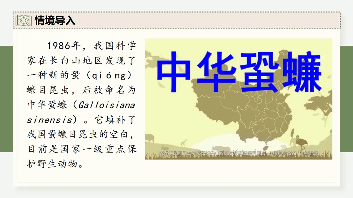 17282436第3页