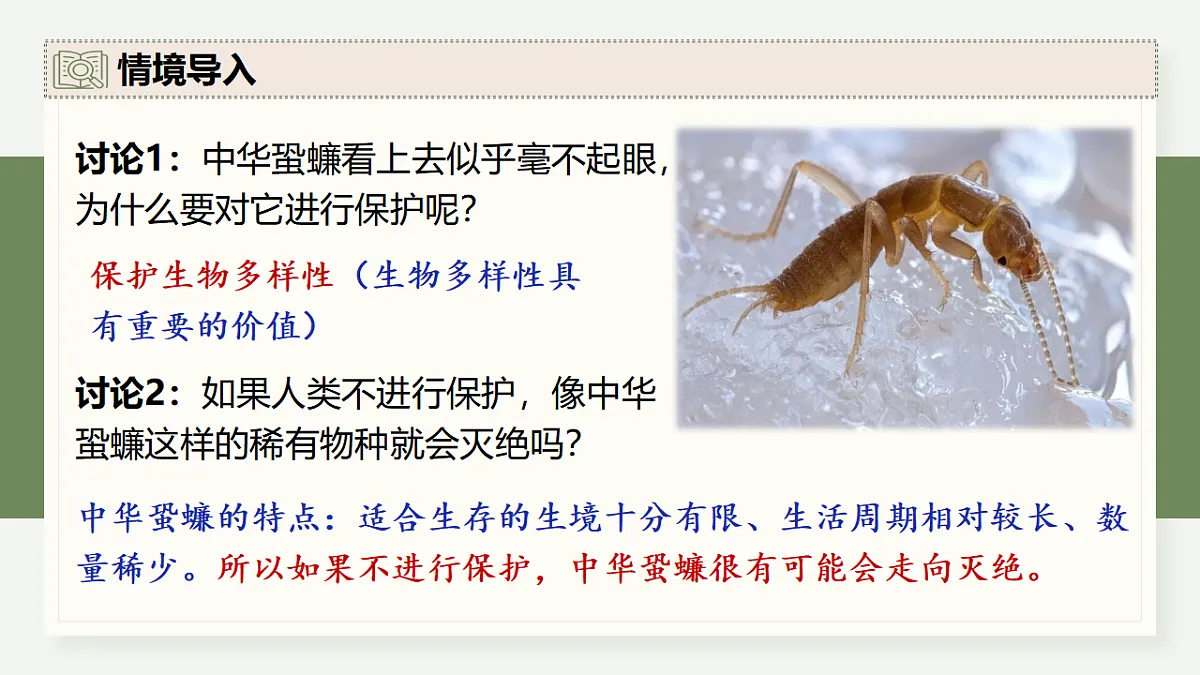 17282436第4页