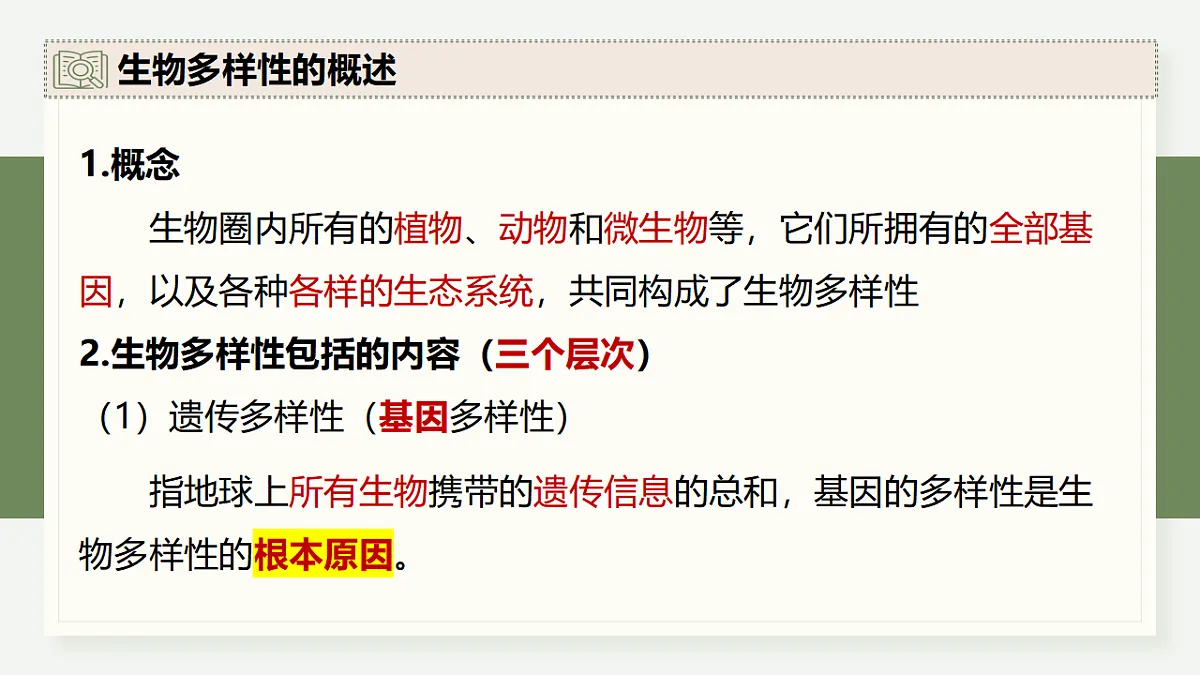 17282436第5页