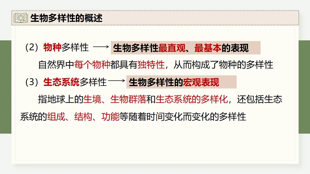 17282436第6页