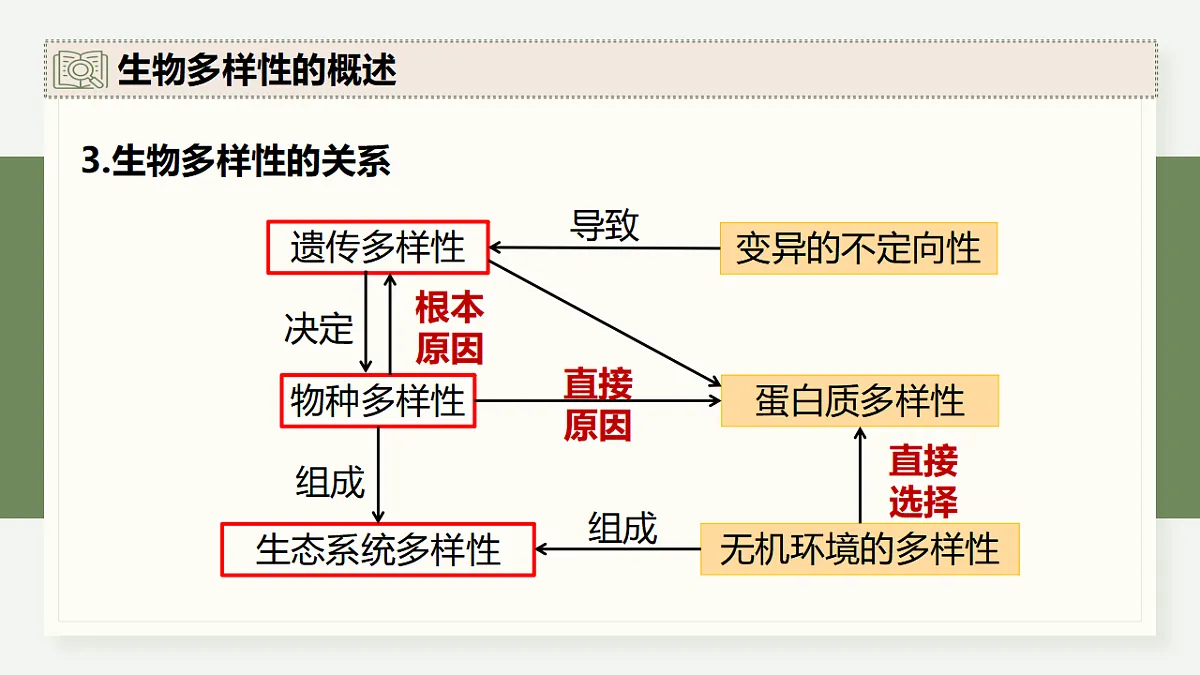 17282436第7页