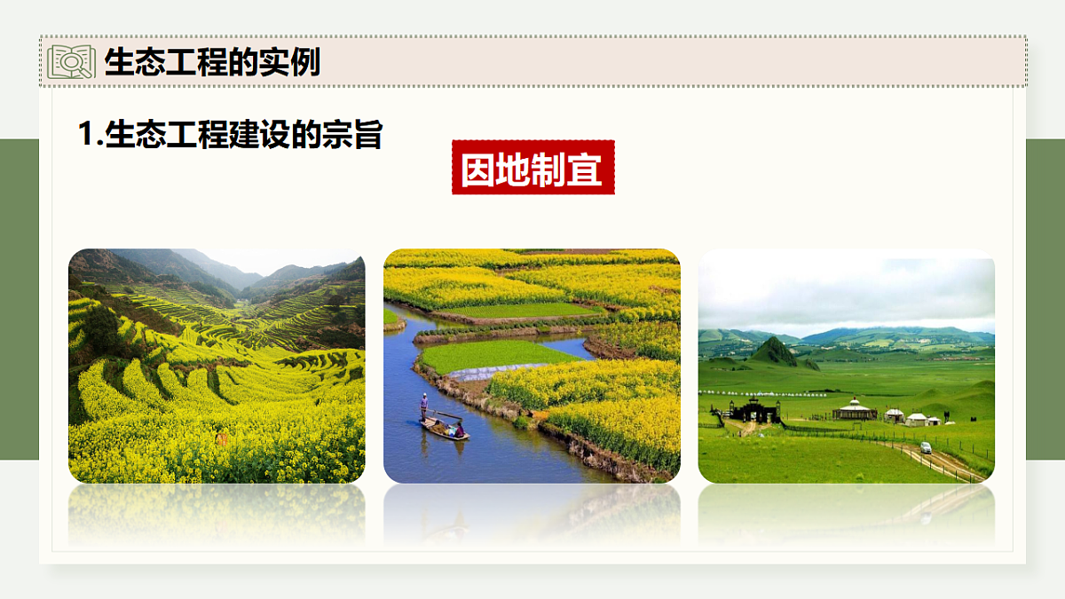 17282438第4页