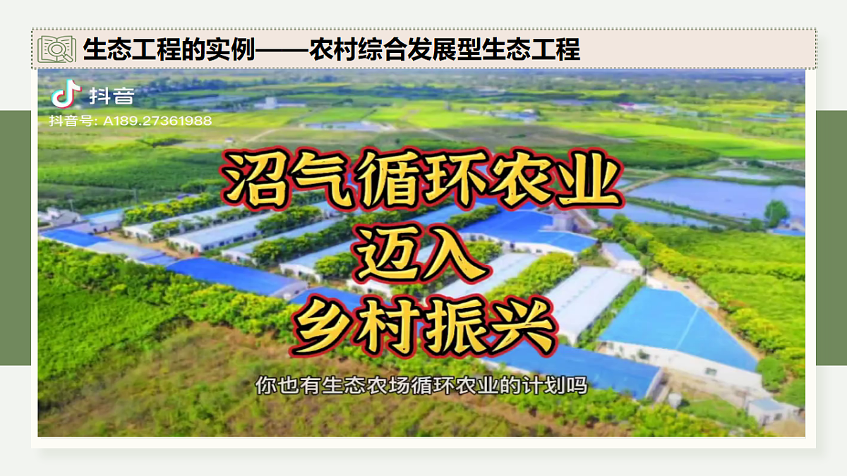 17282438第7页