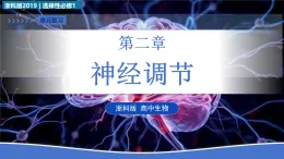第二章 神經(jīng)調(diào)節(jié)（復(fù)習(xí)課件） -2025-2026學(xué)年高中生物選擇性必修1（浙科版2019）