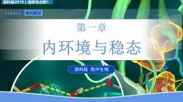第一章 內(nèi)環(huán)境與穩(wěn)態(tài)（復(fù)習(xí)課件） -2025-2026學(xué)年高中生物選擇性必修1（浙科版2019）