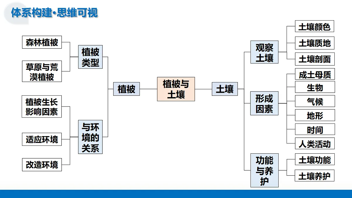 17282629第7页