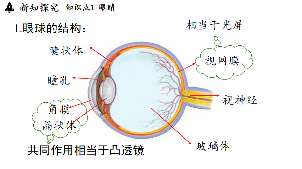 17282646第5页