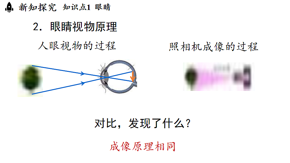 17282646第7页