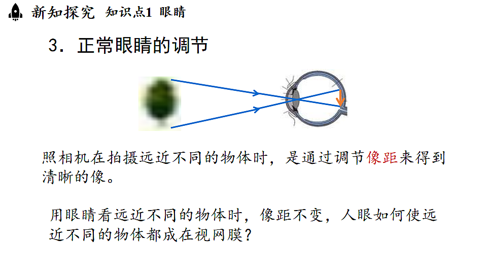 17282646第8页