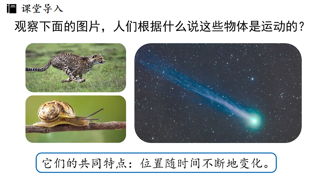 17282652第5页