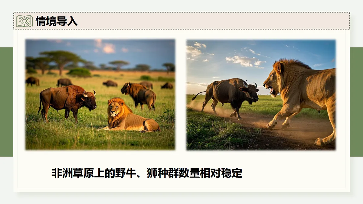 17282704第3页